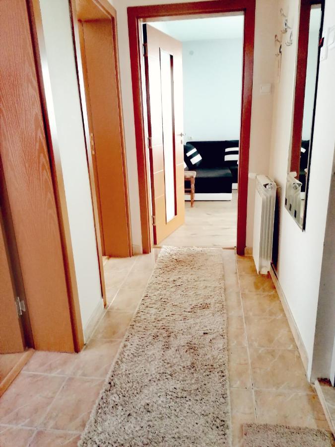 Apartment Daiv Saparewa Banja Zewnętrze zdjęcie